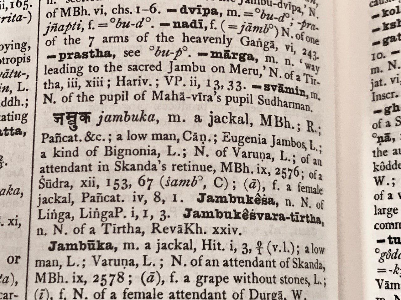’V.S.Apte Sanskrit-English Dicrionary’ ‘Oxford Monier-Williams Sanskrit-English Dicrionary’の、jambukaの項目。